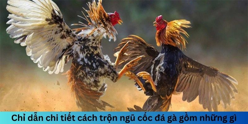 Ngũ Cốc Đá Gà Gồm Những Gì? Chế Độ Dinh Dưỡng Hoàn Hảo 2 Trang Chủ Jun88.com #1 Việt Nam Chỉ dẫn chi tiết cách trộn ngũ cốc đá gà gồm những gì?